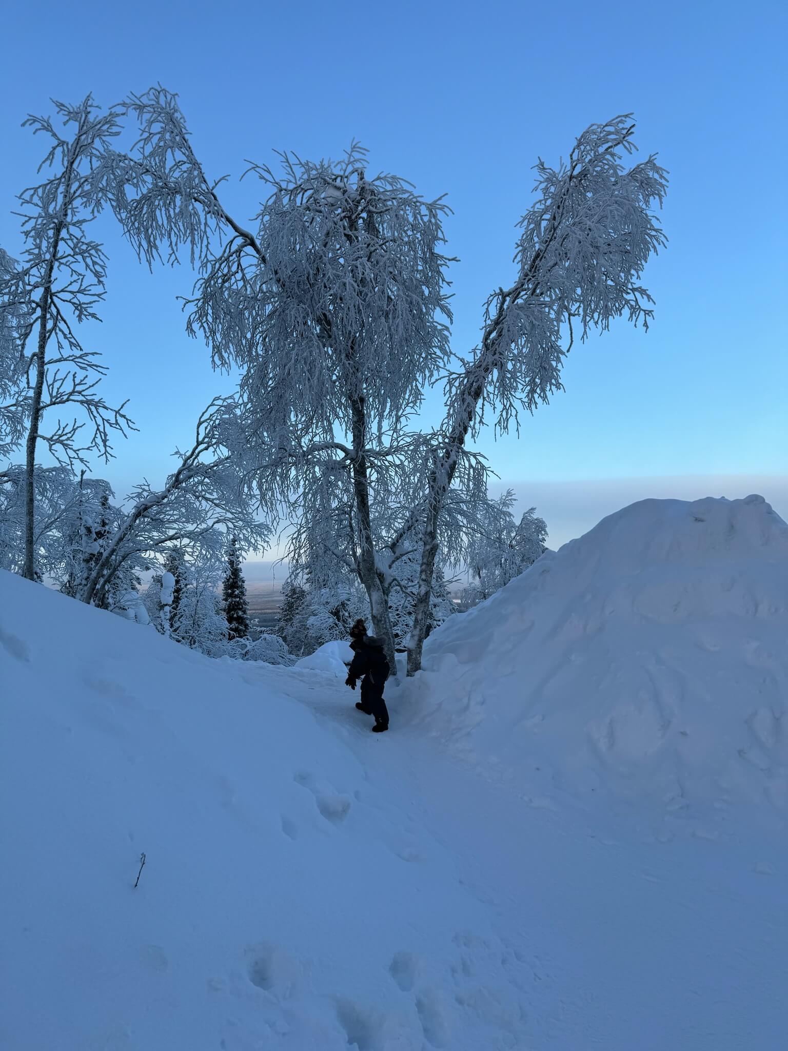 Snowy forest path in Levi